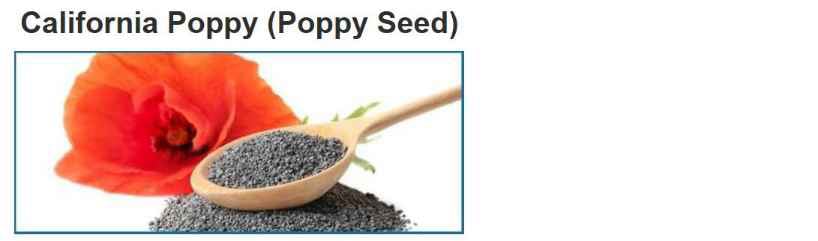 Ingredients In Nerve Soothe-3  