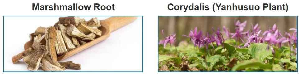 Ingredients In Nerve Soothe-2